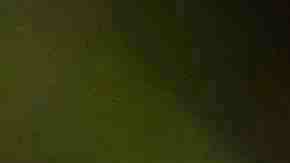 Photo by Jeremy Woodhouse / Blend Images