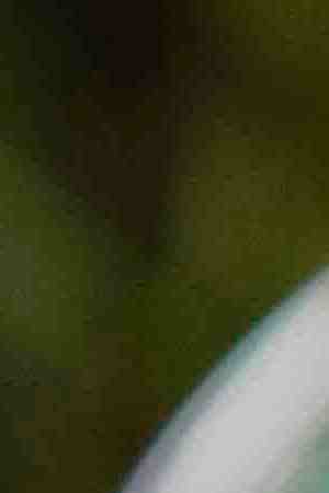 Photo by Jeremy Woodhouse / Blend Images