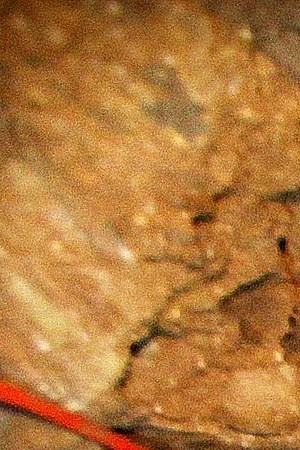 An investigator combs through a drug tunnel found in a warehouse in Otay Mesa, California. Photo by Sandy Huffaker/Getty Images