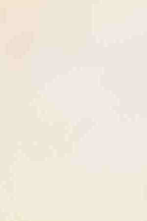 Photo by Pilin_Petunyia / iStock / Getty Images Plus