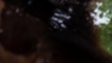 Photo by Getty Images