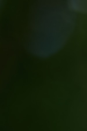 Photo by PeopleImages/ DigitalVision