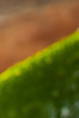 Photo by Getty Images