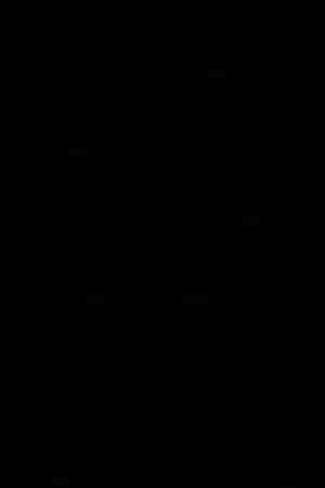 Photo by Lisa Kehoffer / EyeEm