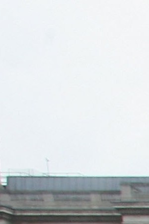 A protester holds a sign during a march hoping to draw attention to claims of exploitation and discrimination of migrant workers. Photo by Matt Cardy/Getty Images