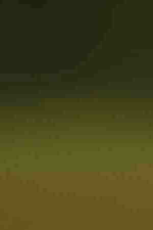 Photo by 	Jupiterimages / 	Stockbyte