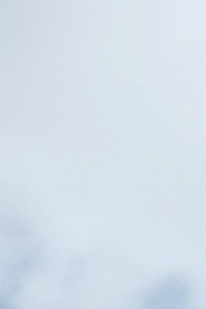 A young demonstrator participates in the Families Belong Together - Freedom For Immigrants March at Los Angeles City Hall. Photo by Sarah Morris/Getty Images