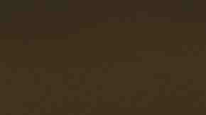 Undocumented immigrant Larissa Martinez from Mexico City speaks at a protest rally.  Photo by John Moore/Getty Images