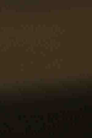 Undocumented immigrant Larissa Martinez from Mexico City speaks at a protest rally.  Photo by John Moore/Getty Images