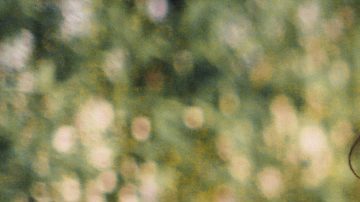 Courtesy of the artist