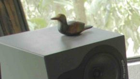 Quixosis. Courtesy of Native Instruments