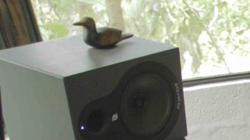 Quixosis. Courtesy of Native Instruments