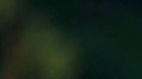 'Madre' images courtesy of Mega