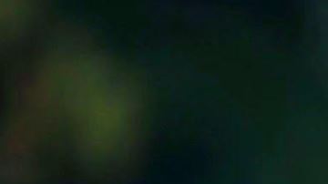 'Madre' images courtesy of Mega