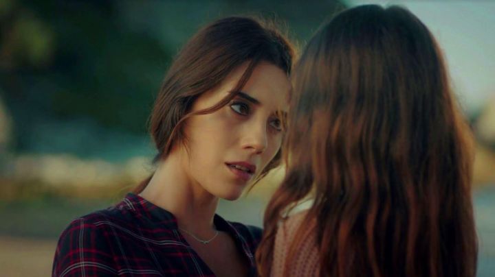 'Madre' images courtesy of Mega