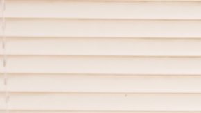 Ms Nina. Courtesy of Criteria Entertainment