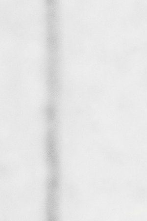 Photo courtesy of José Olivarez