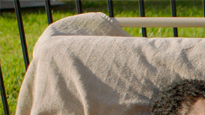 'Rich Kids' courtesy of NYLFF