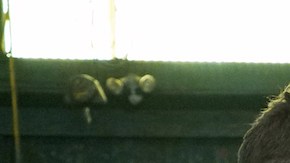 'Snowfall' Season 2, Episode 1: "Sightlines". Carter Hudson as Teddy McDonald, Sergio Peris-Mencheta as Gustavo Zapata, Emily Rios as Lucia Villanueva. Photo by Byron Cohen. Courtesy of FX