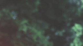 'Room to Grow.' Courtesy of Revry