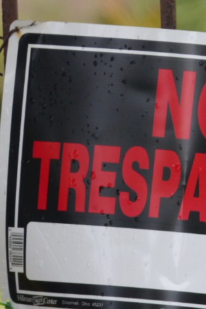 This photo is in the public domain.