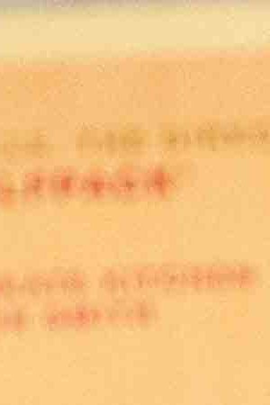 Photo by Itzel Alejandra Martinez for Remezcla