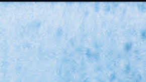 'The Trace We Leave Behind' courtesy of J.C. Feyer