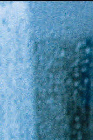 'The Trace We Leave Behind' courtesy of J.C. Feyer