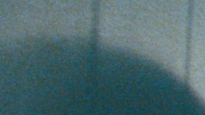 'We The Animals' Courtesy of The Orchard