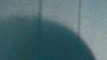 'We The Animals' Courtesy of The Orchard