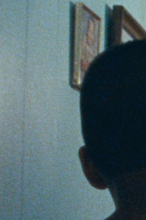 'We The Animals' Courtesy of The Orchard