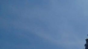 Courtesy of Malafama