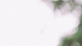 Photo: Britton Orrange for Remezcla.