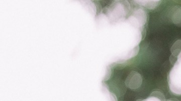 Photo: Britton Orrange for Remezcla.