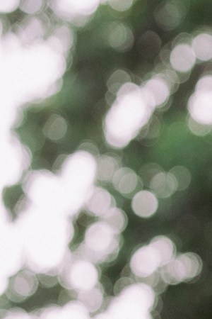 Photo: Britton Orrange for Remezcla.