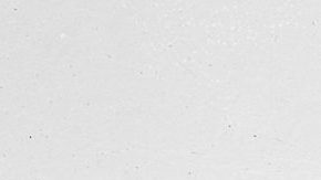 Francisco "Pancho" Villa (1877–1923), Mexican revolutionary general, wearing bandoliers in front of an insurgent camp. Photo courtesy of George Grantham Bain Collection