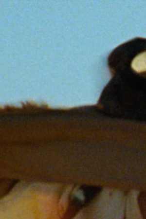 'The Ballad of Gregorio Cortez' still courtesy of the Criterion Collection.