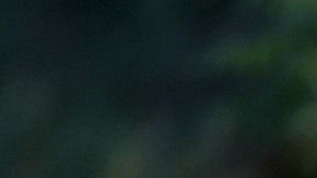 'Fools Rush In' image courtesy of Sony Pictures Entertainment