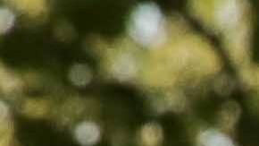 Catherine Ochún Soliz-Rey and her mother wearing valerias, two-piece traditional wear. Photo by Itzel Alejandra Martinez for Remezcla