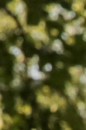 Catherine Ochún Soliz-Rey and her mother wearing valerias, two-piece traditional wear. Photo by Itzel Alejandra Martinez for Remezcla