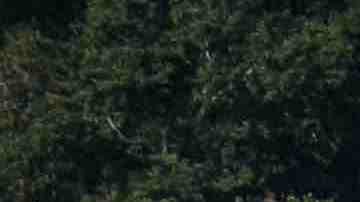 Aerial view of the damage to the National Museum of Brazil after a devastating fire on September 3, 2018. Photo by Buda Mendes/Getty Images
