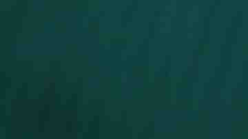 Photo by Dragan Todorovic/ Getty Images