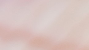 Ripe fried plantains. 	Photo by jrroman/ Getty Images