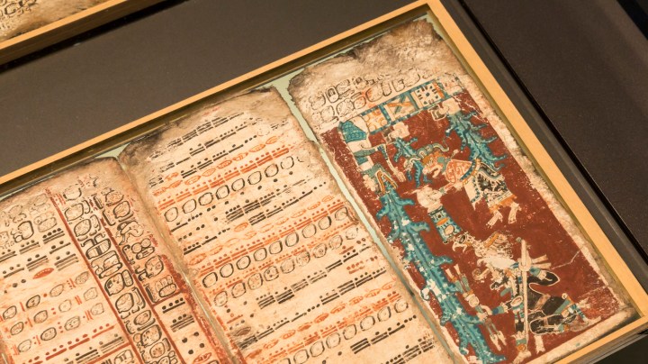 A sky caiman vomits water on one of the last pages of the 12th-century Dresden Codex. Photo by Joern Haufe/Getty Images