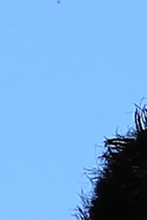 Victor Ortiz avoids a punch by Andre Berto during a welterweight fight at StubHub Center.  Photo by Sean M. Haffey/Getty Images