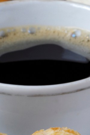 Photo by ribeirorocha/ Getty Images