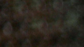 Singer Beyonce Knowles greets fans at the Hyundai Department store  Seoul, South Korea as part of her B'Day World Tour. Photo by Chung Sung-Jun/Getty Images