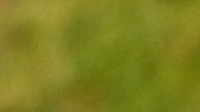 Churro. Typical sweet of breakfast in Spain. Photo by japatino/Getty Images