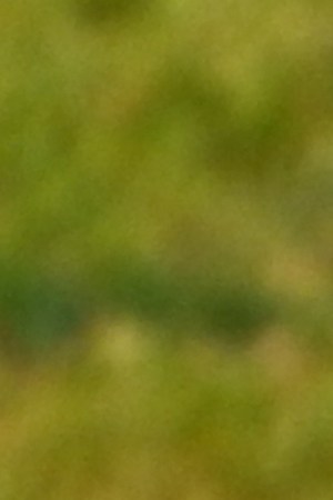 Churro. Typical sweet of breakfast in Spain. Photo by japatino/Getty Images