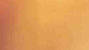 Photo by Chalabala/ Getty Images